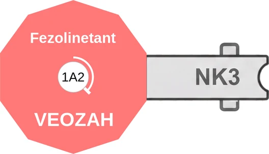 Fezolinetant ballicule — decagon mechanism diagram