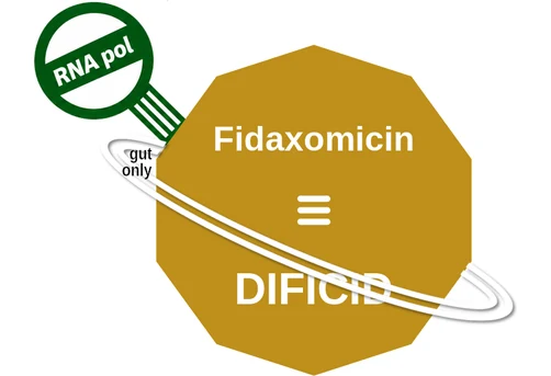Fidaxomicin ballicule — decagon mechanism diagram
