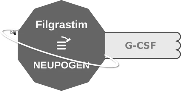 Filgrastim ballicule: receptor binding, kinetics and half-life diagram