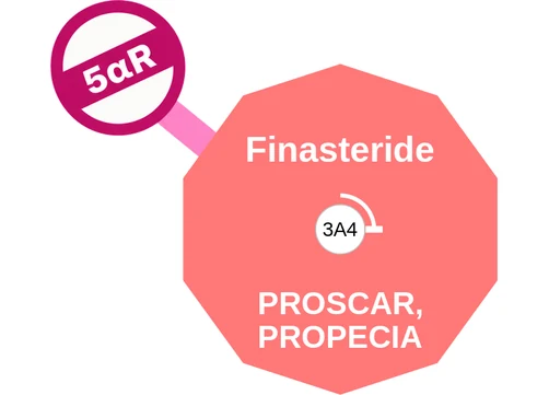 Finasteride ballicule: receptor binding, kinetics and half-life diagram