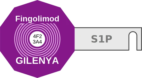 Fingolimod ballicule — decagon mechanism diagram