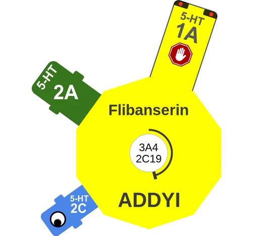Flibanserin ballicule: receptor binding, kinetics and half-life diagram