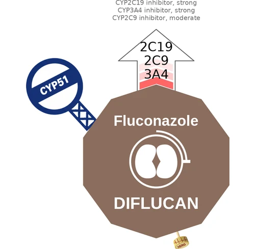 Fluconazole ballicule: receptor binding, kinetics and half-life diagram