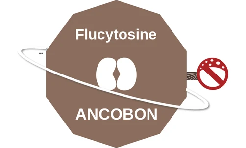 Flucytosine ballicule — decagon mechanism diagram