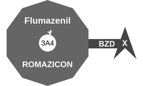 Flumazenil ballicule — decagon mechanism diagram