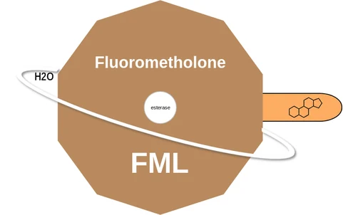 Fluorometholone ballicule: receptor binding, kinetics and half-life diagram