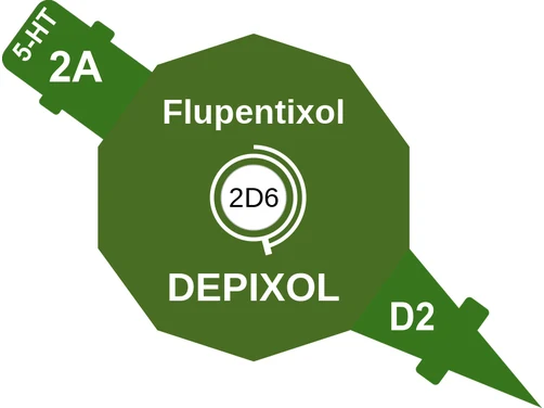 Flupentixol ballicule: receptor binding, kinetics and half-life diagram
