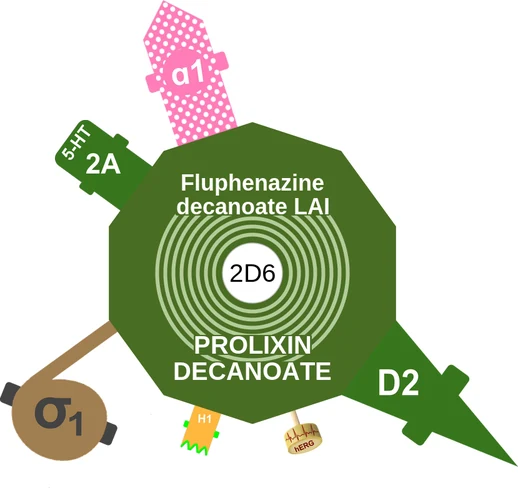 Fluphenazine decanoate LAI ballicule: receptor binding, kinetics and half-life diagram