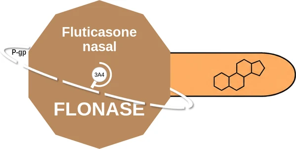 Fluticasone nasal ballicule — decagon diagram of its receptor and enzyme targets