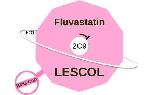 Fluvastatin ballicule: receptor binding, kinetics and half-life diagram