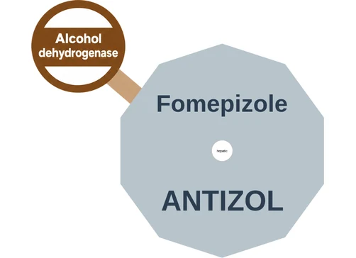 Fomepizole ballicule — decagon mechanism diagram
