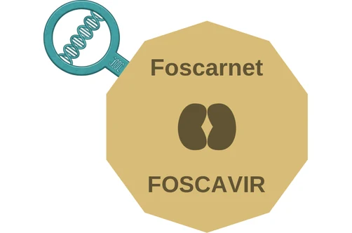 Foscarnet ballicule: receptor binding, kinetics and half-life diagram