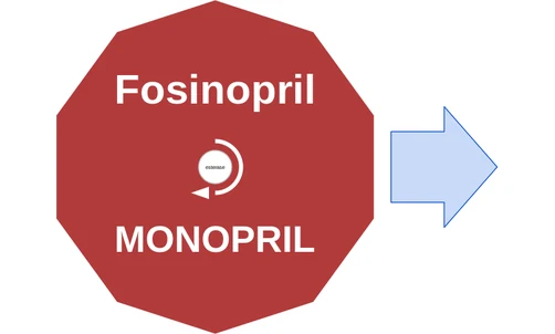 Fosinopril ballicule — decagon mechanism diagram