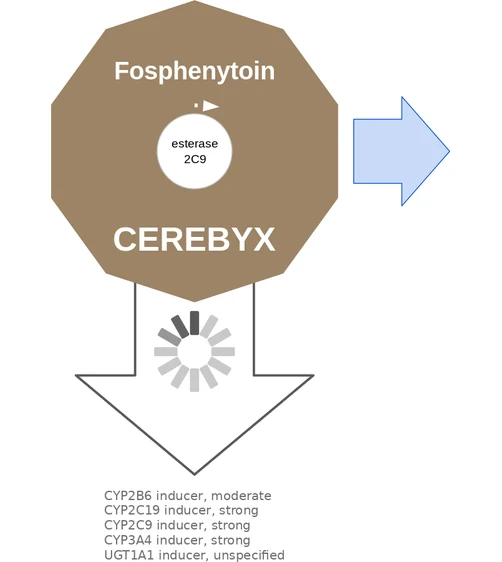 Fosphenytoin ballicule — decagon mechanism diagram