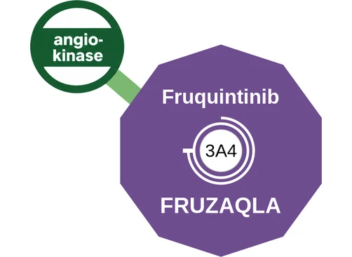 Fruquintinib ballicule: receptor binding, kinetics and half-life diagram