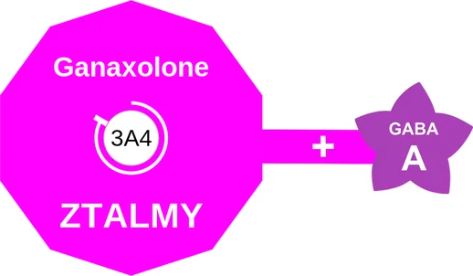 Ganaxolone ballicule — decagon mechanism diagram