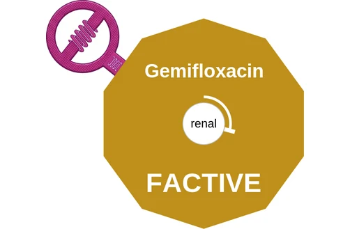 Gemifloxacin ballicule: receptor binding, kinetics and half-life diagram