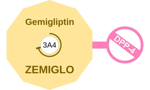 Gemigliptin ballicule: receptor binding, kinetics and half-life diagram