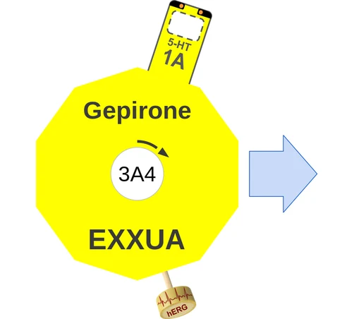Gepirone ballicule: receptor binding, kinetics and half-life diagram
