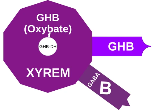 GHB (Oxybate) ballicule: receptor binding, kinetics and half-life diagram