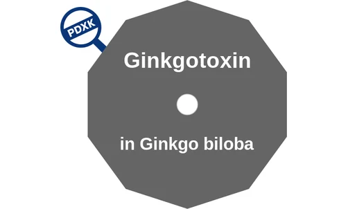 Ginkgotoxin ballicule: receptor binding, kinetics and half-life diagram
