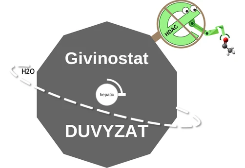 Givinostat ballicule — decagon mechanism diagram