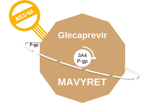 Glecaprevir ballicule — decagon mechanism diagram