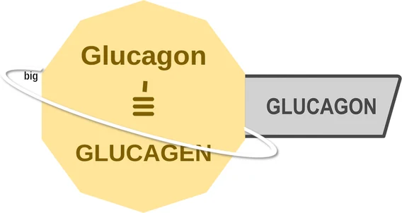 Glucagon ballicule: receptor binding, kinetics and half-life diagram