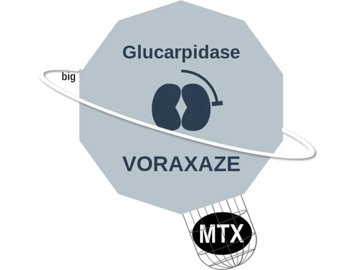 Glucarpidase ballicule: receptor binding, kinetics and half-life diagram