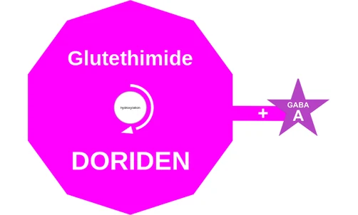 Glutethimide ballicule: receptor binding, kinetics and half-life diagram