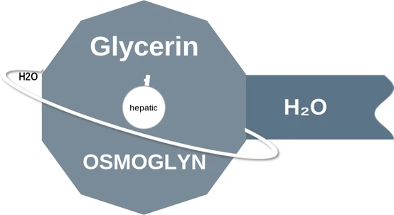 Glycerin ballicule — decagon mechanism diagram