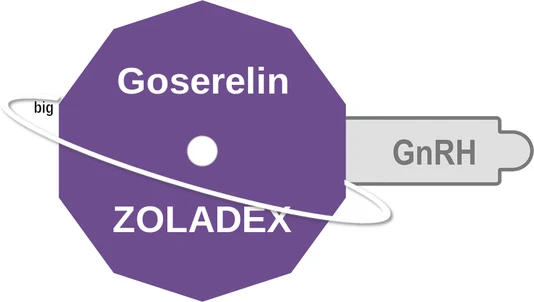Goserelin ballicule: receptor binding, kinetics and half-life diagram