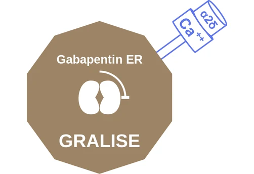 Gabapentin ER ballicule: receptor binding, kinetics and half-life diagram