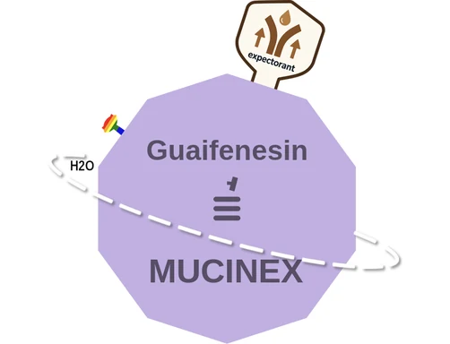 Guaifenesin ballicule — decagon mechanism diagram