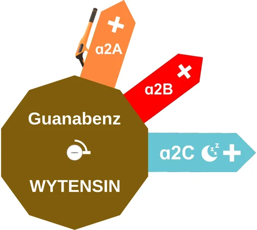Guanabenz ballicule: receptor binding, kinetics and half-life diagram