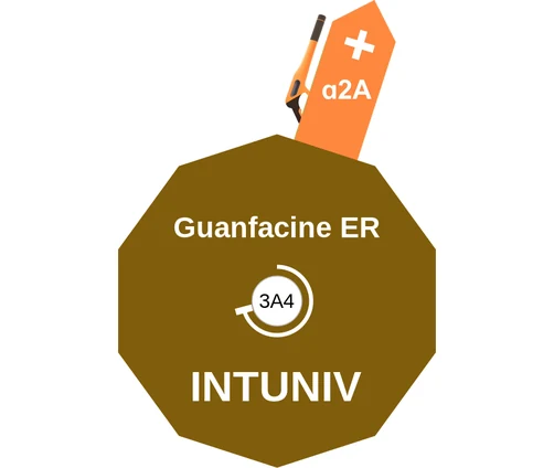 Guanfacine ER ballicule: receptor binding, kinetics and half-life diagram