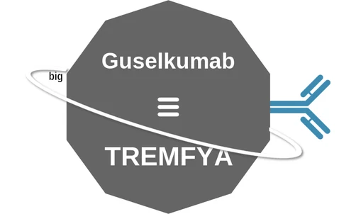 Guselkumab ballicule — decagon mechanism diagram