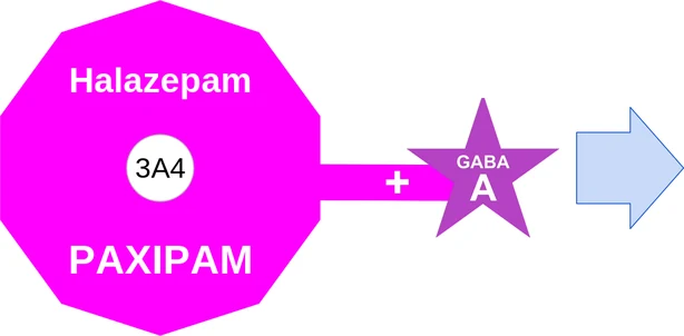 Halazepam ballicule — decagon mechanism diagram