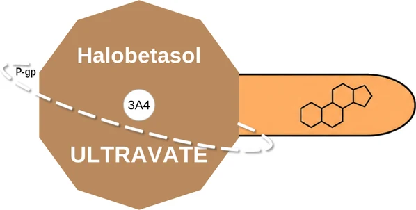 Halobetasol ballicule: receptor binding, kinetics and half-life diagram