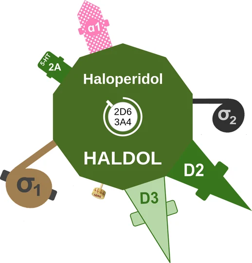 Haloperidol ballicule: receptor binding, kinetics and half-life diagram