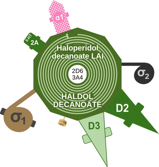 Haloperidol decanoate LAI ballicule: receptor binding, kinetics and half-life diagram