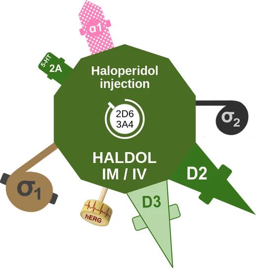 Haloperidol injection ballicule: receptor binding, kinetics and half-life diagram