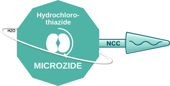 Hydrochloro thiazide ballicule: receptor binding, kinetics and half-life diagram