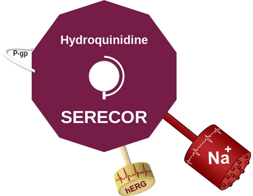 Hydroquinidine ballicule — decagon mechanism diagram