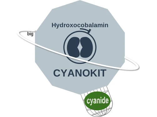 Hydroxocobalamin ballicule: receptor binding, kinetics and half-life diagram