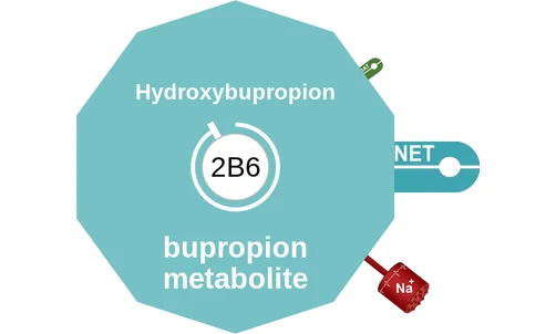 Hydroxybupropion ballicule — decagon mechanism diagram