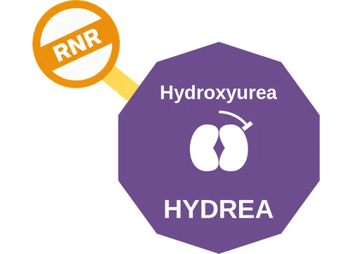 Hydroxyurea ballicule: receptor binding, kinetics and half-life diagram