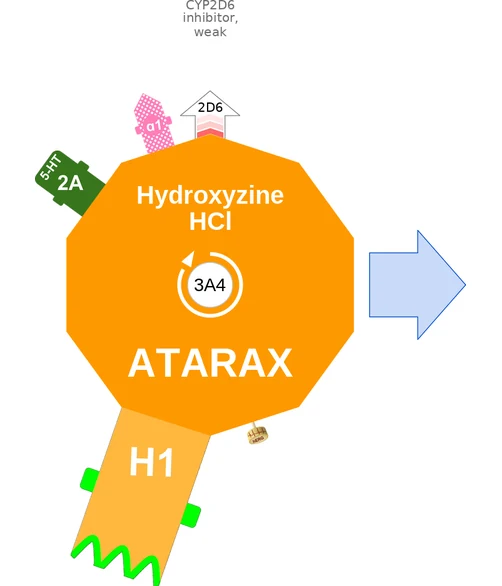 Hydroxyzine HCl ballicule: receptor binding, kinetics and half-life diagram