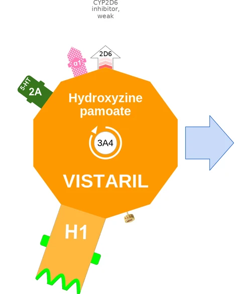 Hydroxyzine pamoate ballicule — decagon diagram of its receptor and enzyme targets