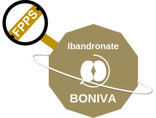 Ibandronate ballicule: receptor binding, kinetics and half-life diagram